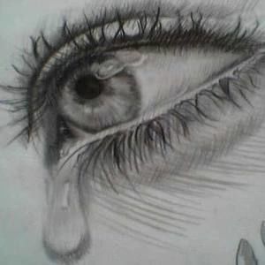 Meet your Posher, Nyan